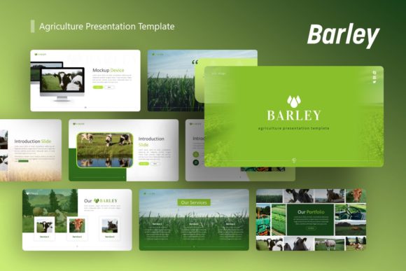 Barley Agriculture Presentation Template: A Versatile Design Resource for Modern Professionals
