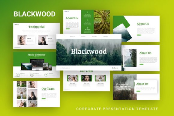 Evaluating Presentation Template - Blackwood for Professional Use